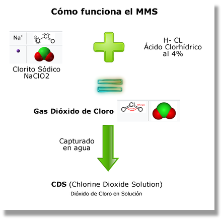 Cómo funciona el MMS y cómo funciona el CDS